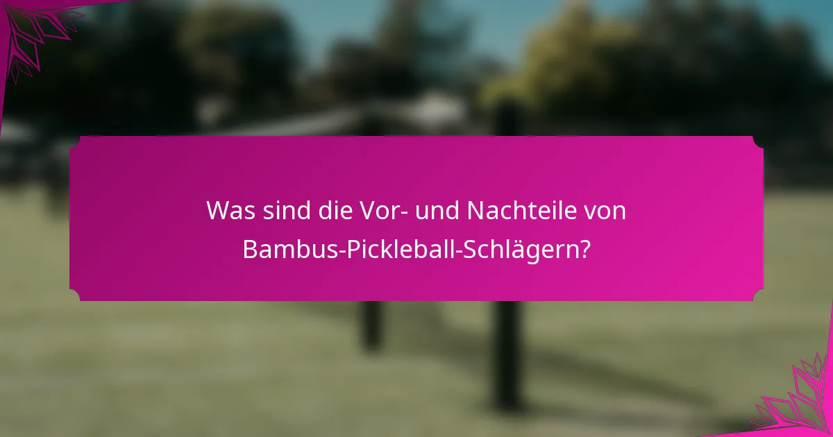 Was sind die Vor- und Nachteile von Bambus-Pickleball-Schlägern?