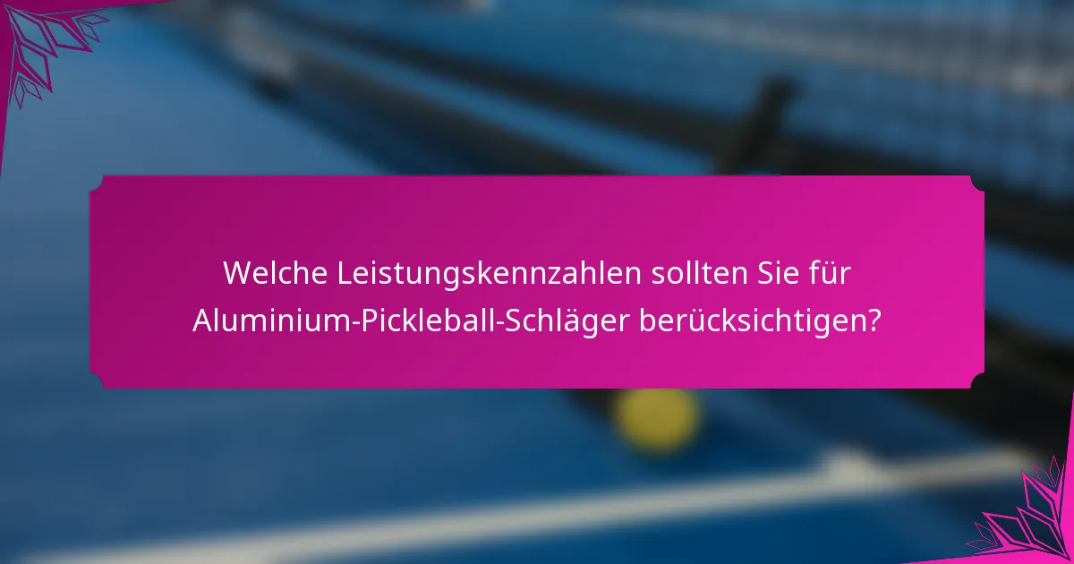 Welche Leistungskennzahlen sollten Sie für Aluminium-Pickleball-Schläger berücksichtigen?