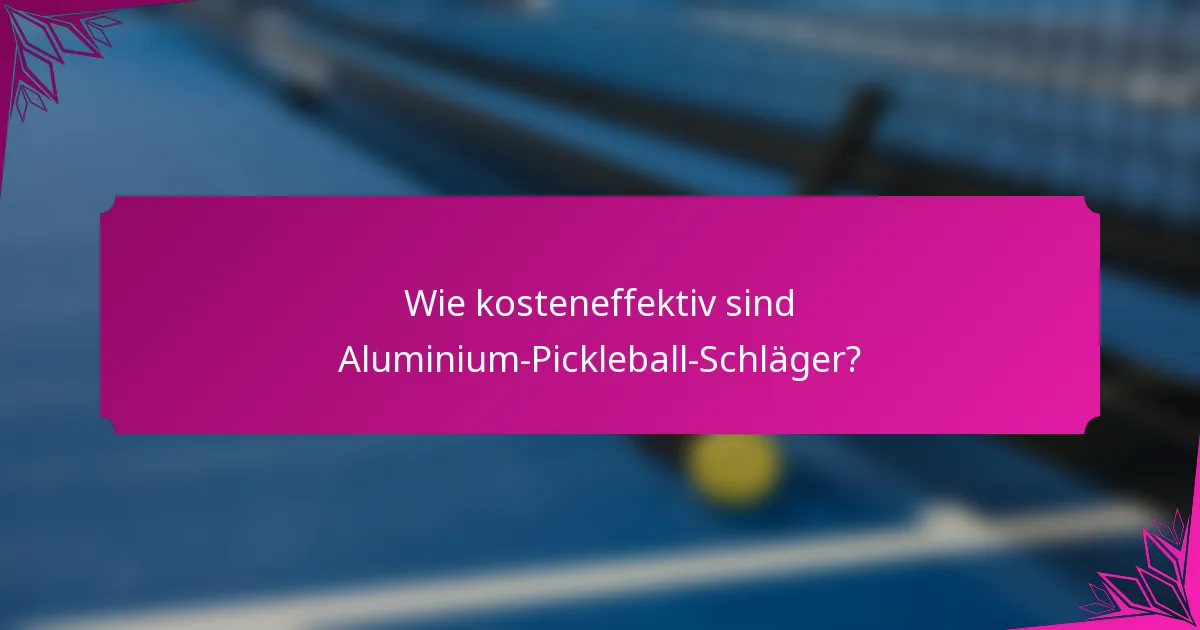 Wie kosteneffektiv sind Aluminium-Pickleball-Schläger?