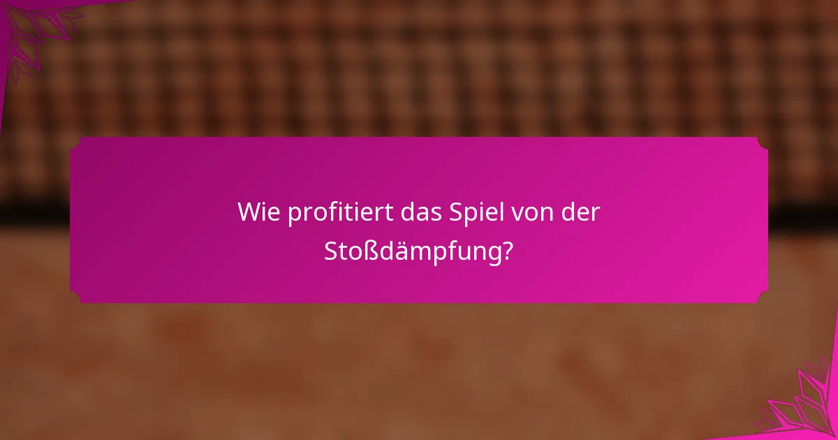 Wie profitiert das Spiel von der Stoßdämpfung?